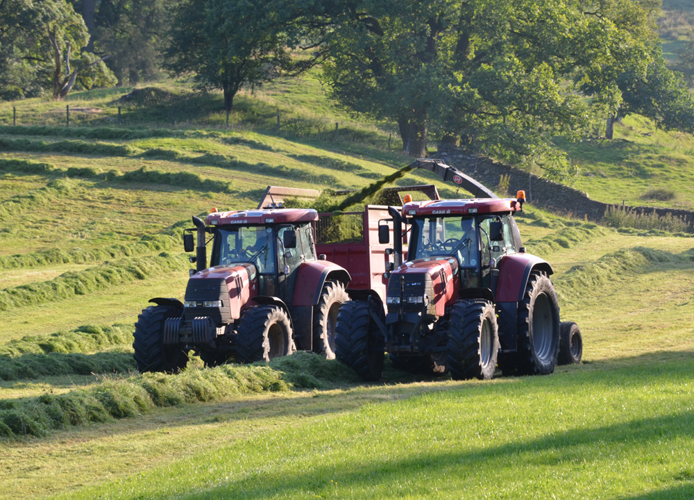 Matson Ground - silaging